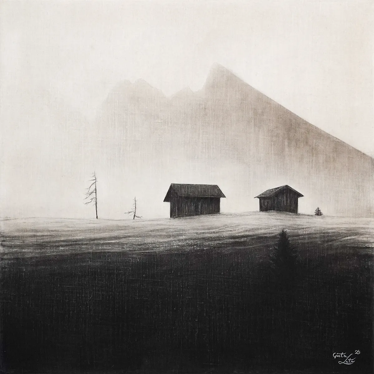 „Im Morgenlicht II" – Kohle auf Leinen, 60 x 60 cm, 2024
