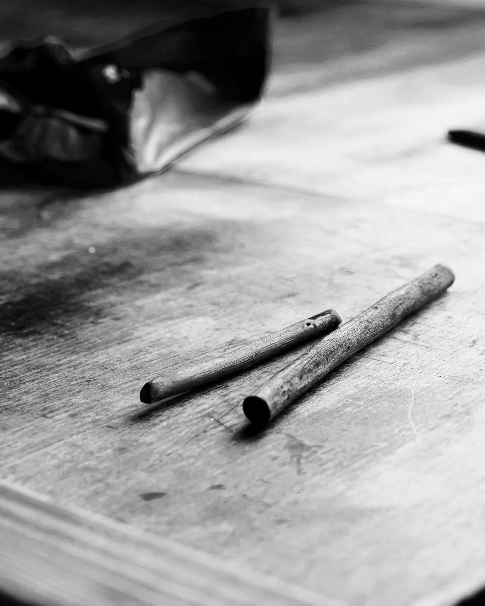 Zwei Kohlestücke auf dem Arbeitstisch im Atelier